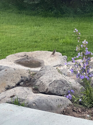 rocks-birdbath rocks-birdbath